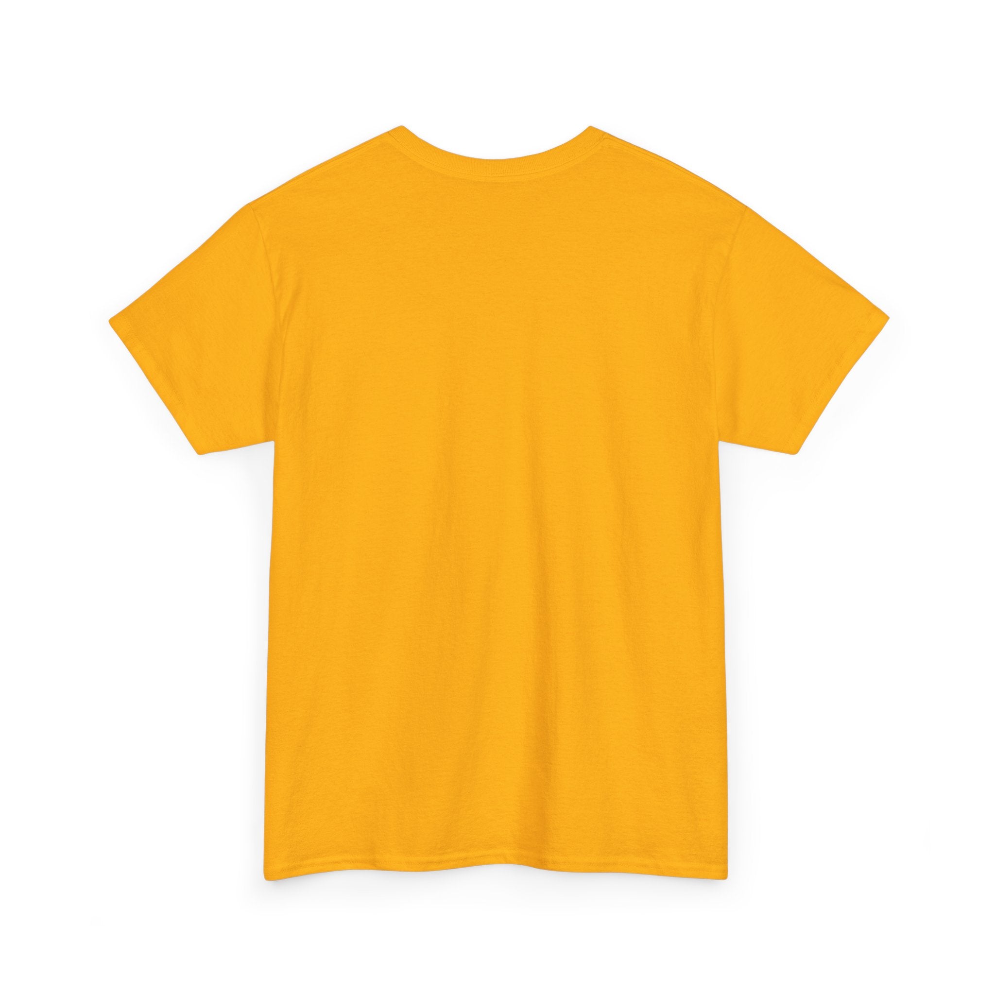 "Tung Tung Tung Sahur" Heavy Cotton Graphic T-Shirt